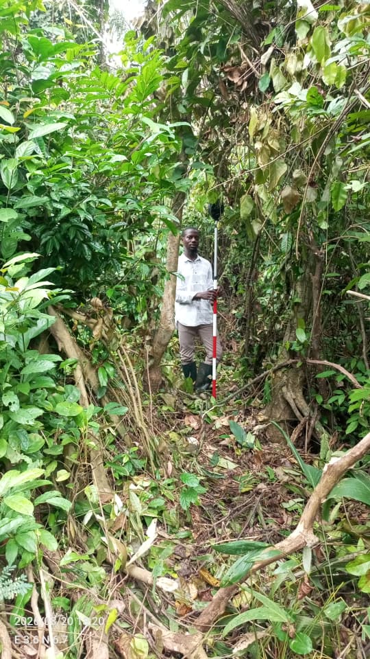 Surveying through dense vegetation